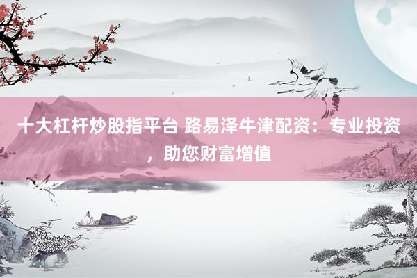 十大杠杆炒股指平台 路易泽牛津配资：专业投资，助您财富增值