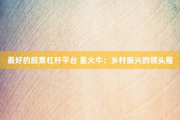 最好的股票杠杆平台 星火牛：乡村振兴的领头雁