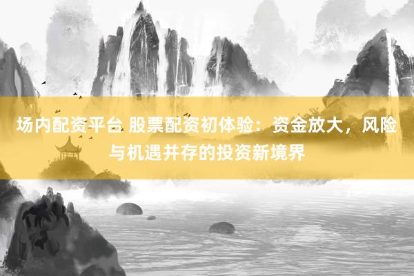 场内配资平台 股票配资初体验：资金放大，风险与机遇并存的投资新境界