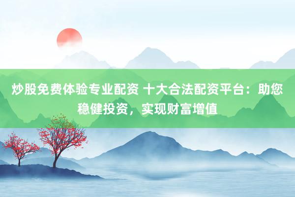 炒股免费体验专业配资 十大合法配资平台：助您稳健投资，实现财富增值