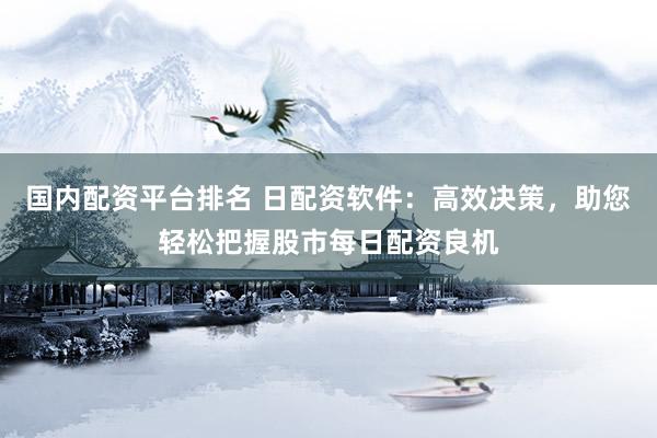 国内配资平台排名 日配资软件：高效决策，助您轻松把握股市每日配资良机