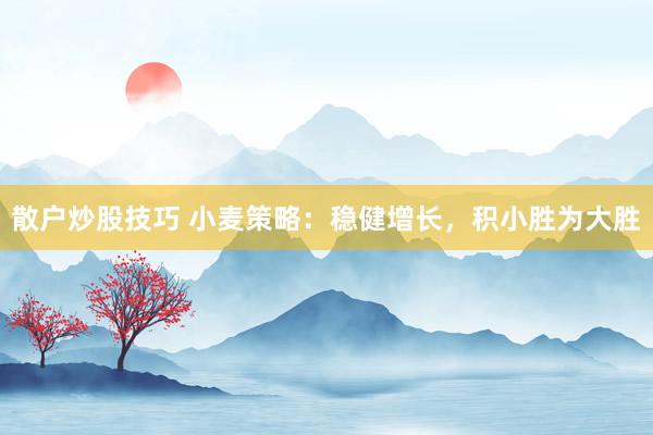 散户炒股技巧 小麦策略：稳健增长，积小胜为大胜