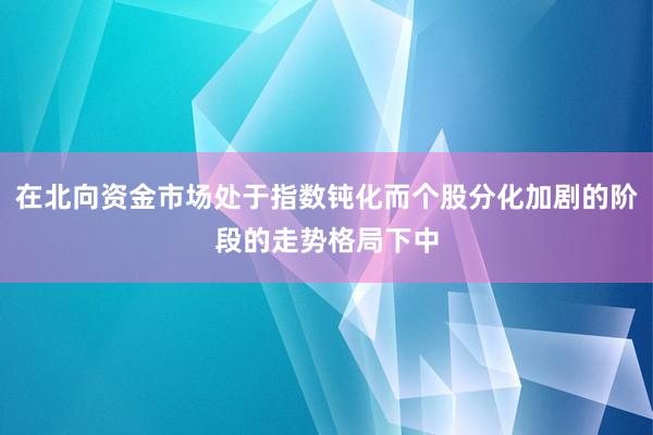 在北向资金市场处于指数钝化而个股分化加剧的阶段的走势格局下中