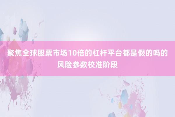 聚焦全球股票市场10倍的杠杆平台都是假的吗的风险参数校准阶段