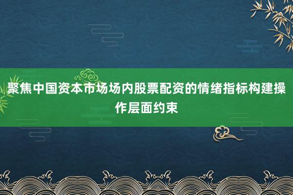 聚焦中国资本市场场内股票配资的情绪指标构建操作层面约束